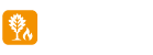Oak Fire Doors